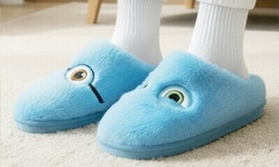 Free British Gas Slippers