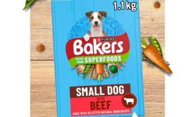 Free Bakers Dog Food - 12,500 Available!