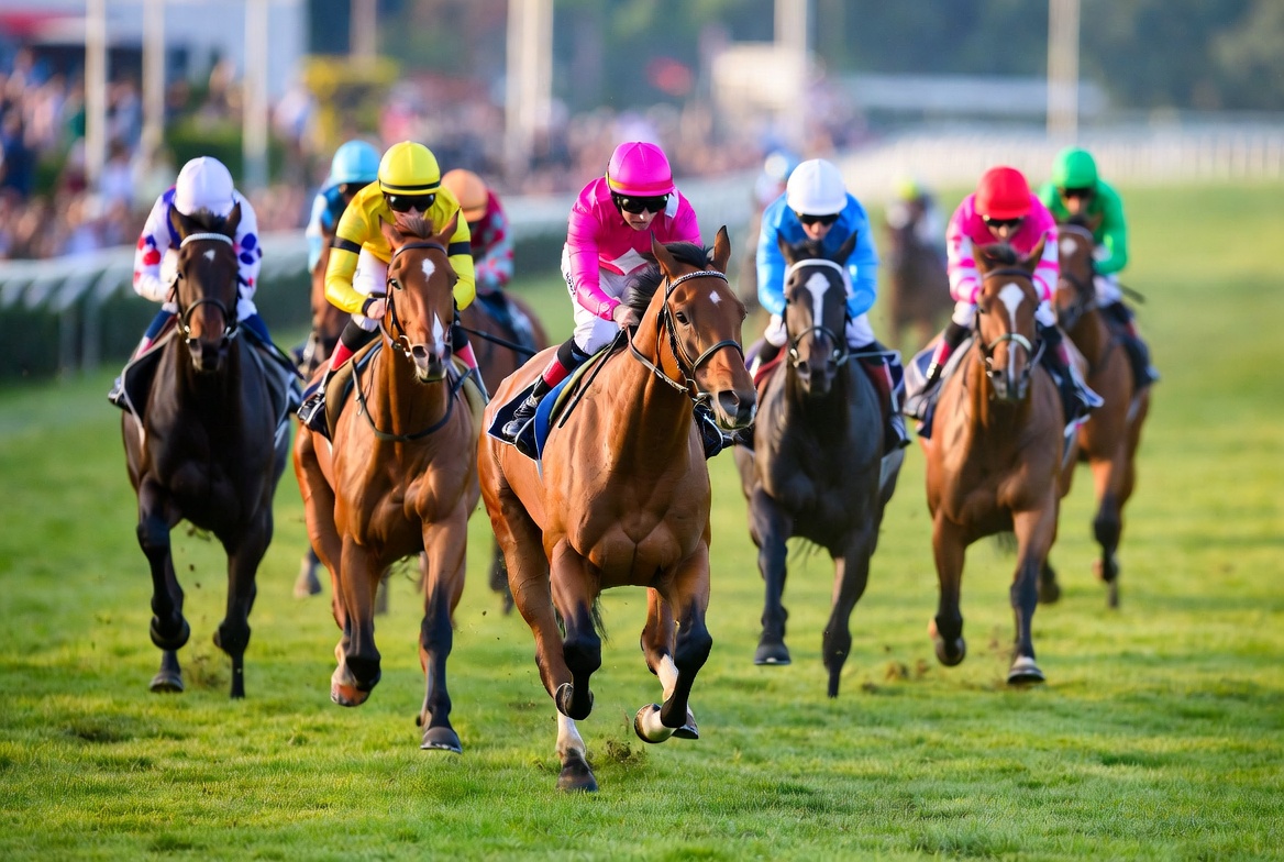 Free Pair of Horse Racing Tickets