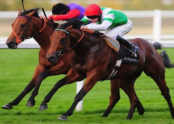 Free Horse Racing Tickets (4,000 available)