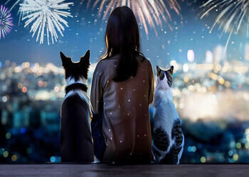 Free Dog Calming Supplements & More