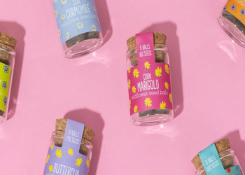 Win a set of six Wildflower Jars from Seedball