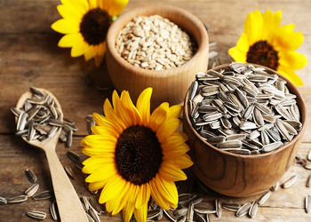 Free Sunflower Seeds