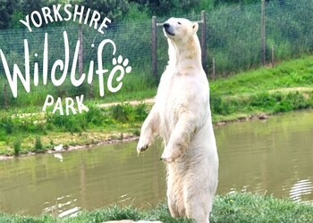 Yorkshire Wildlife Park Father’s Day Giveaway