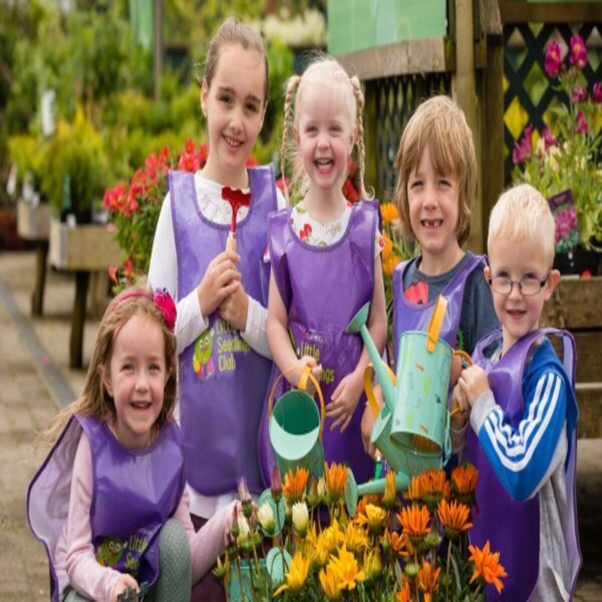 Free Dobbies Little Seedlings Workshops
